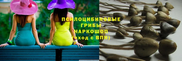 альфа пвп Бородино