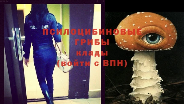 2c-b Бугульма