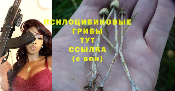 альфа пвп Бородино