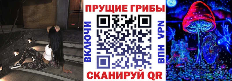 хочу Называевск Галлюциногенные грибы мицелий